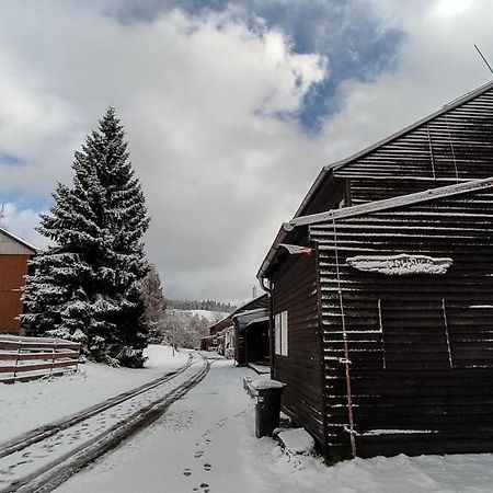 Penzion Apartmany Aninka Mariánská Buitenkant foto